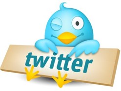 Picture of the Twitter Bird.